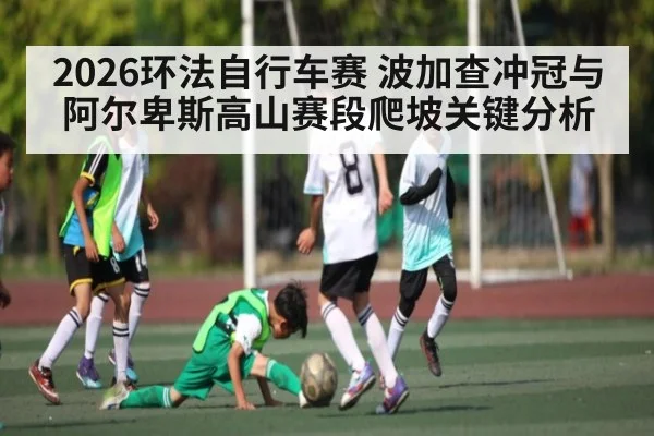 2026环法自行车赛 波加查冲冠与阿尔卑斯高山赛段爬坡关键分析